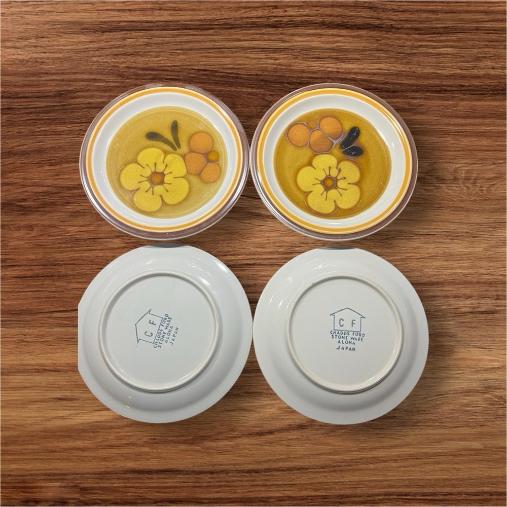 Chadds Ford salad plates-set of four. Retro, boho, cool.